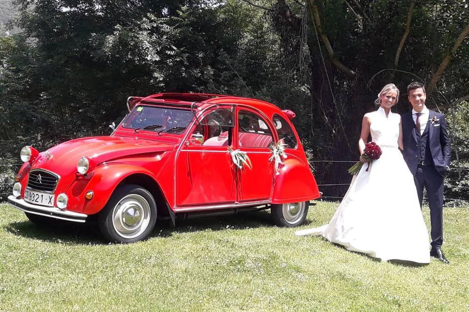 Bodas