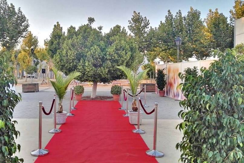 Entrada Alfombra