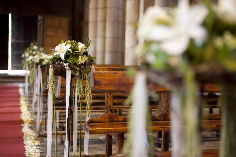 Violines boda