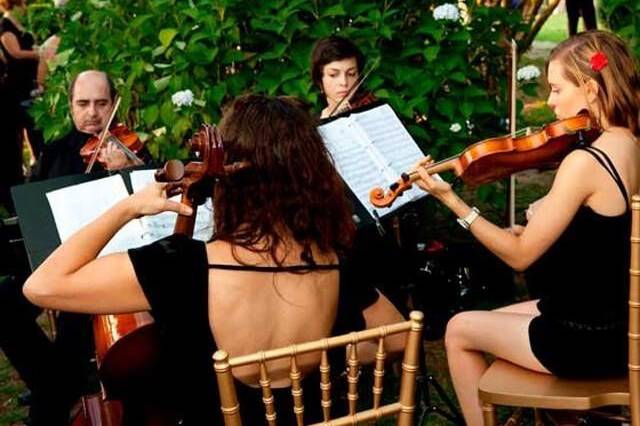 Violines boda