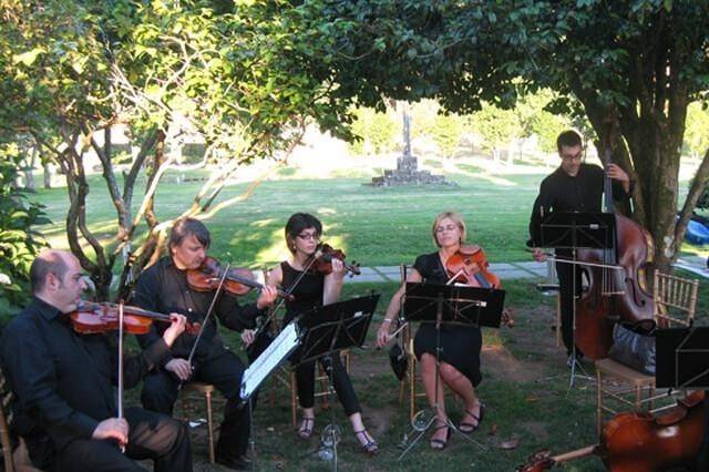 Violines boda