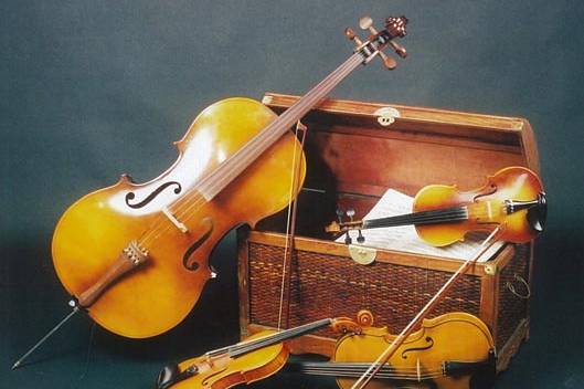 Violines boda
