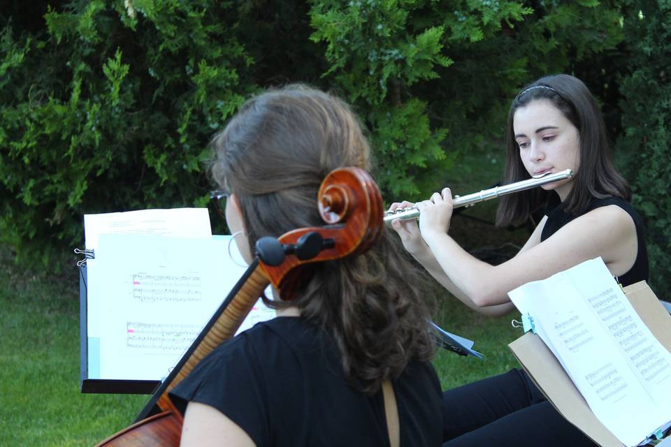 Música en directo