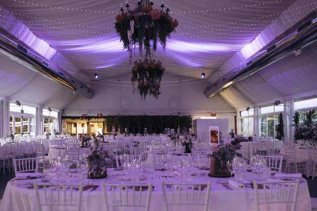Comedor