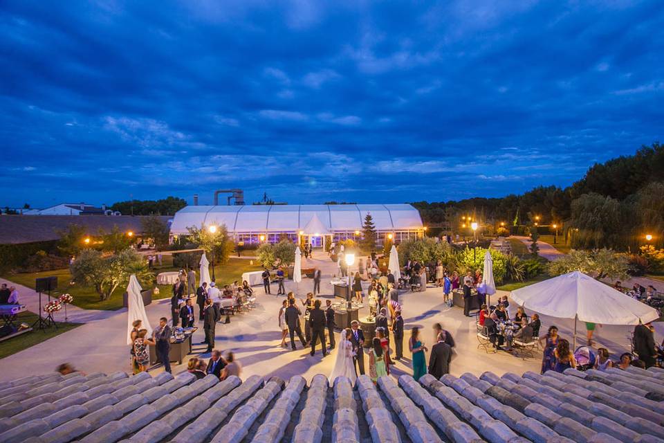 Bodas en la finca