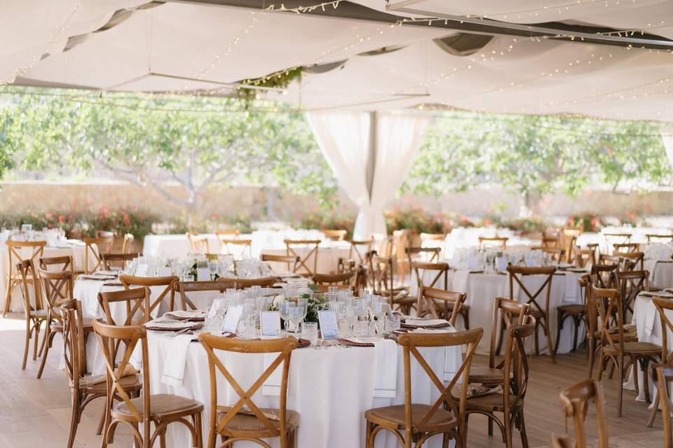 Banquete 2