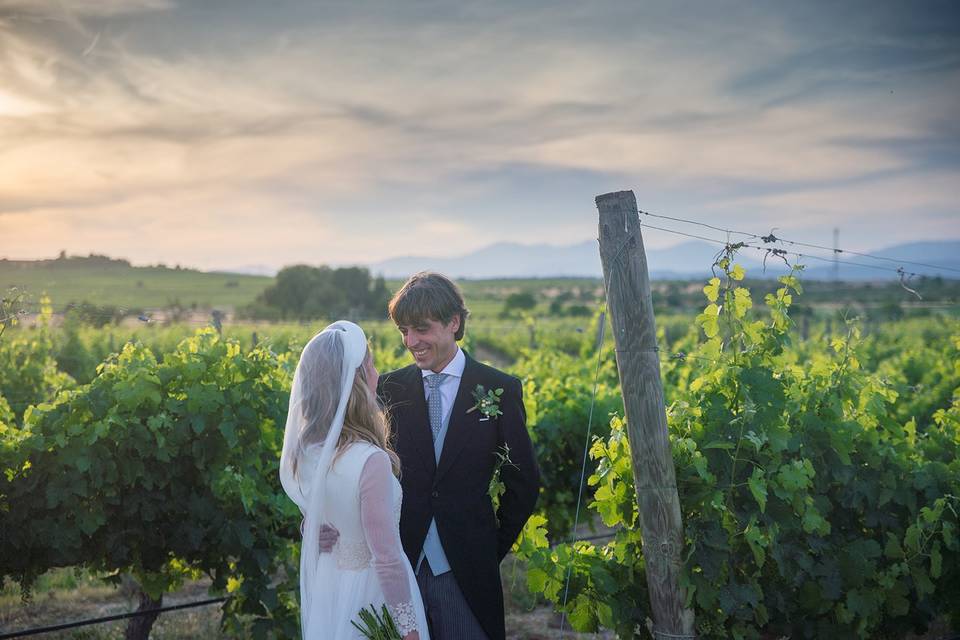 Novios en barricas