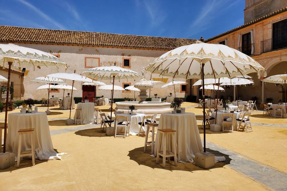 Montaje cocktail