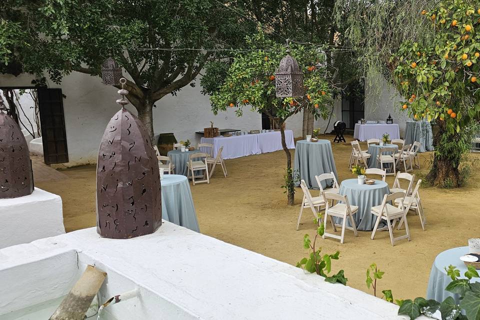 Montaje cocktail