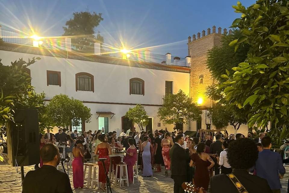 Cocktail pitamo