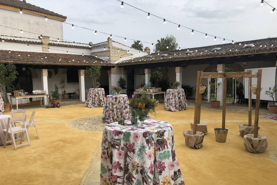Montaje cocktail