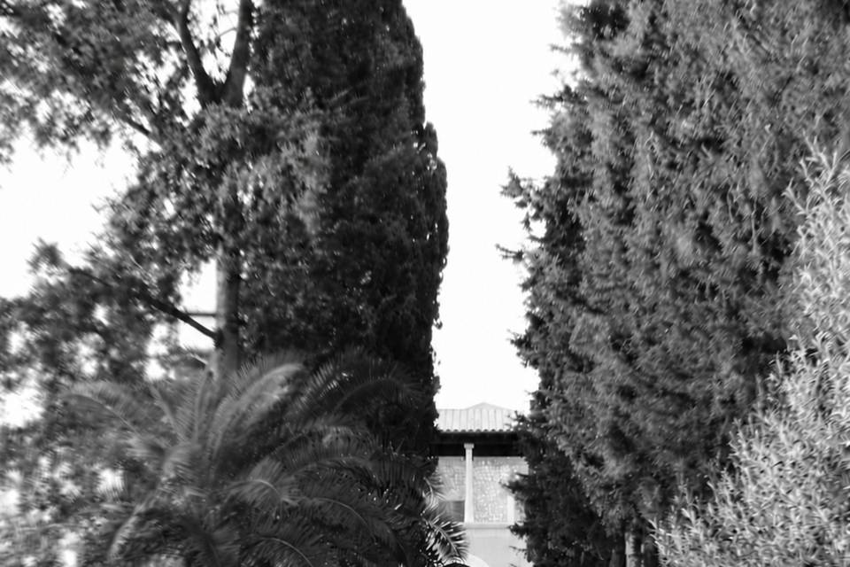 Boulevard