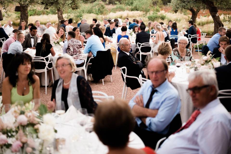 Banquete en patio olivos