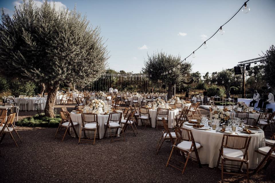 Banquete en patio de los olivos