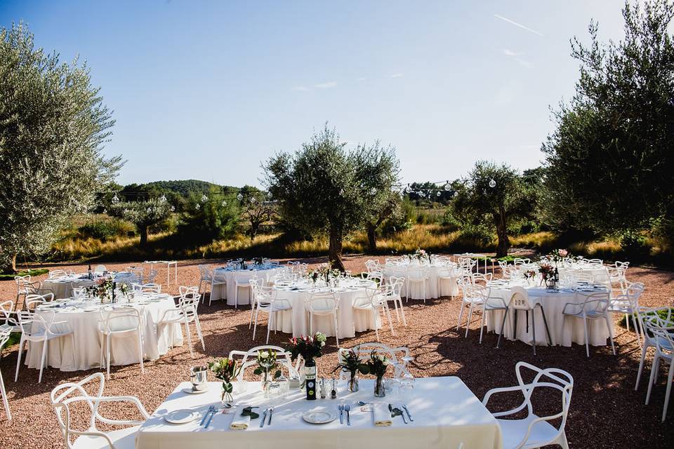 Banquete en patio de los olivos