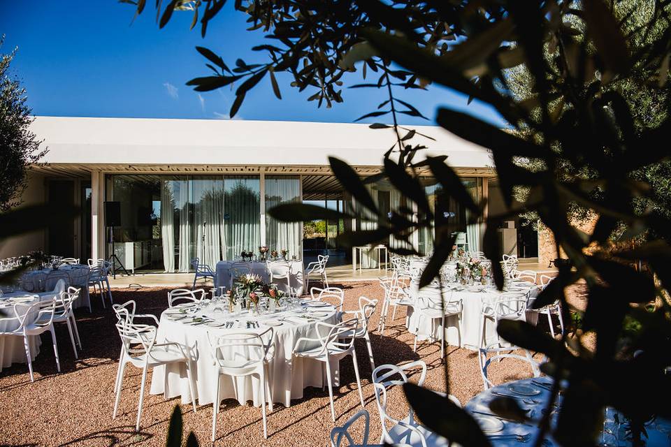 Banquete en patio de los olivos