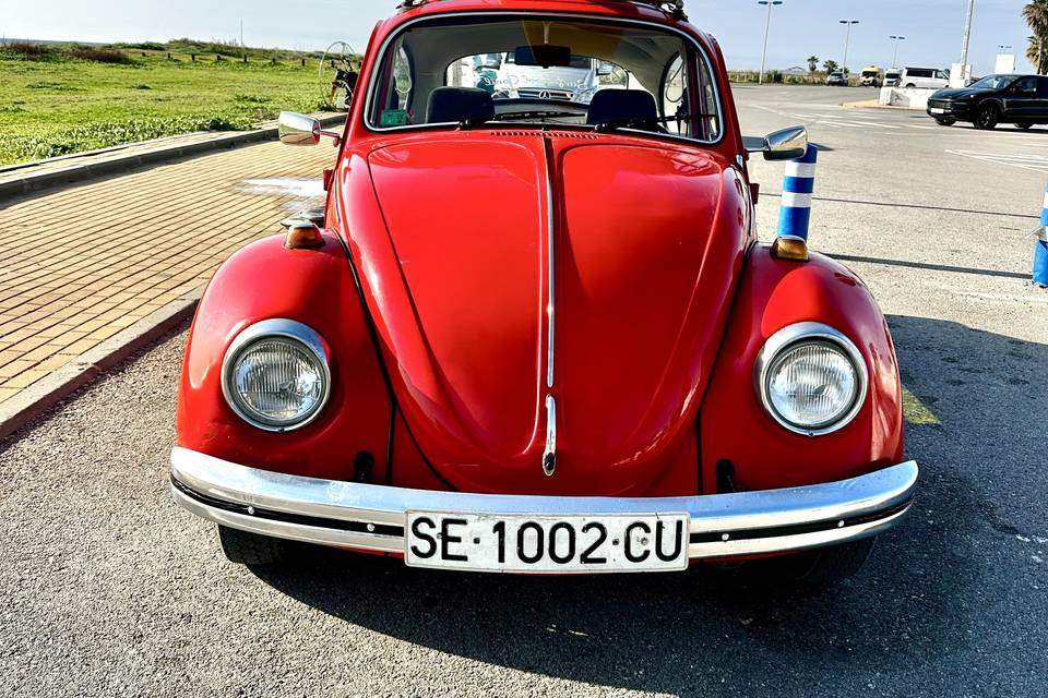 VW Käfer