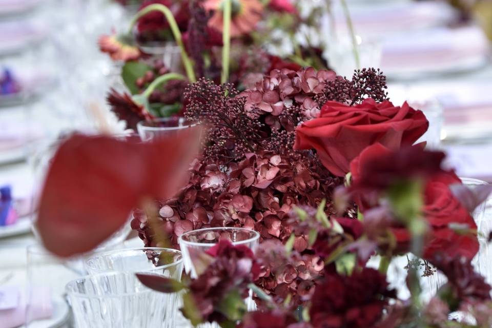 DecoRACIÓN