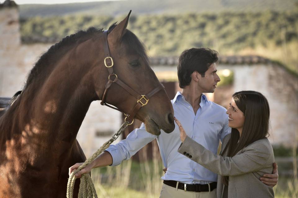 PREBODA