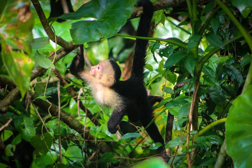 Costa Rica