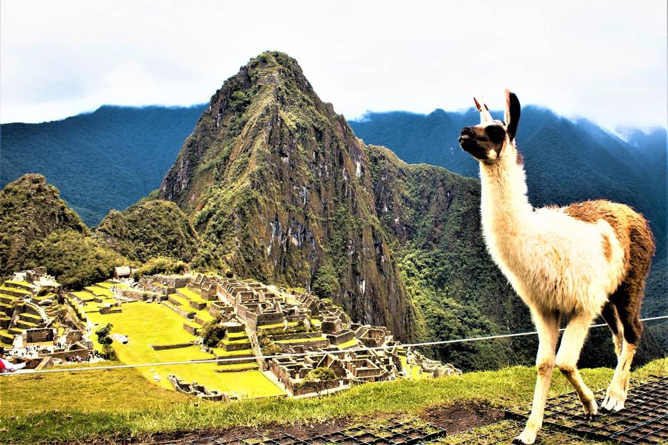 Machu Pichu