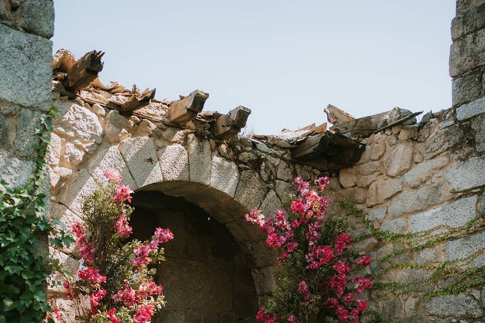 Detalles en ruinas