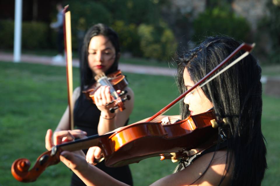 Música en directo