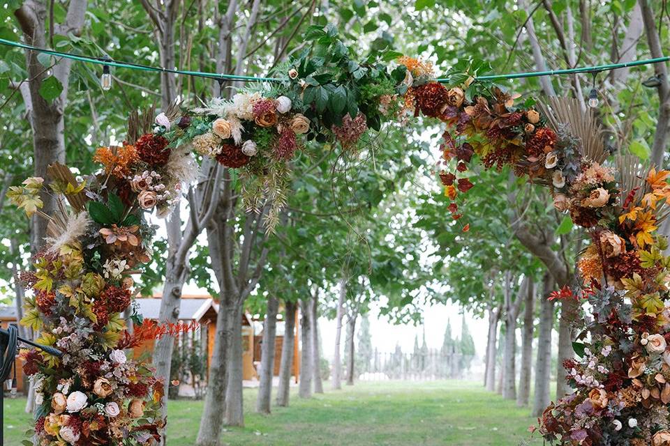 Ceremonia bosque