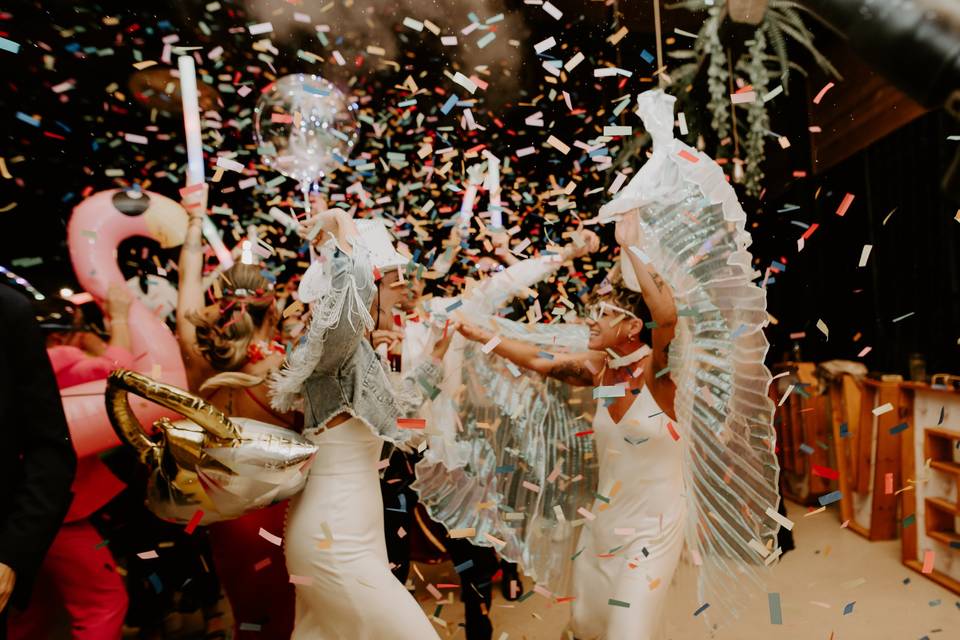 Disco graner