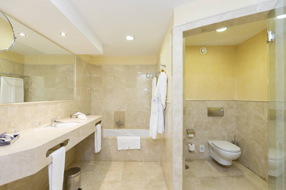 Baño (suite)