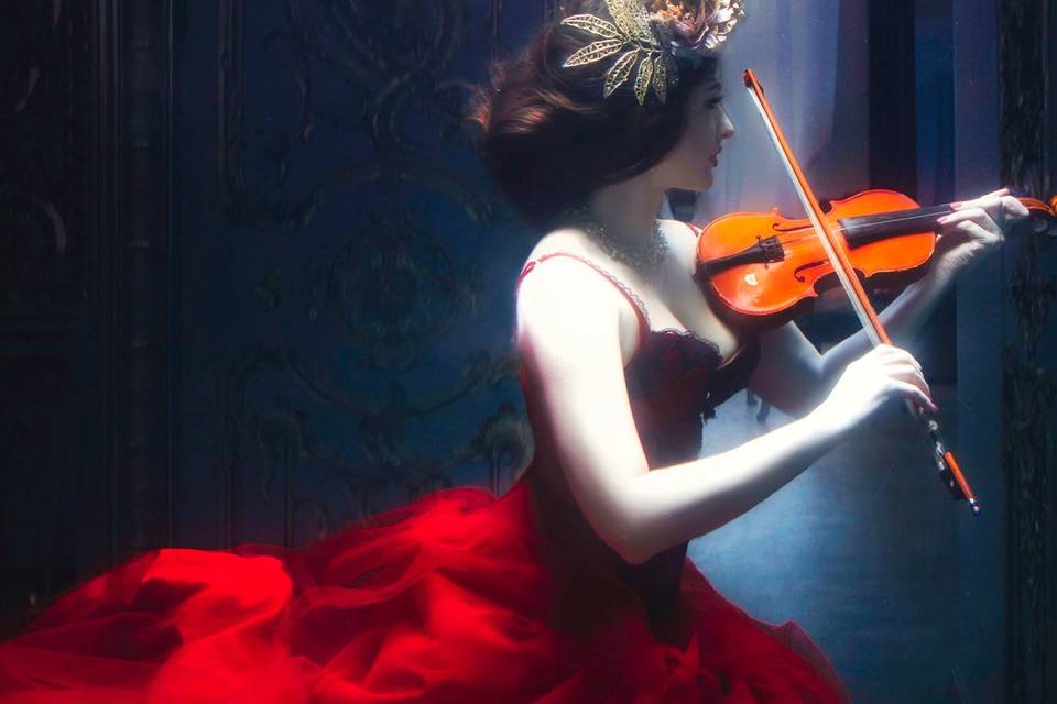 Violinista Ax-art