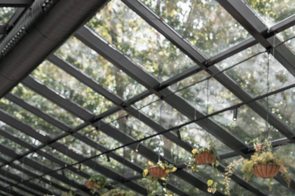Banquete El Bosque
