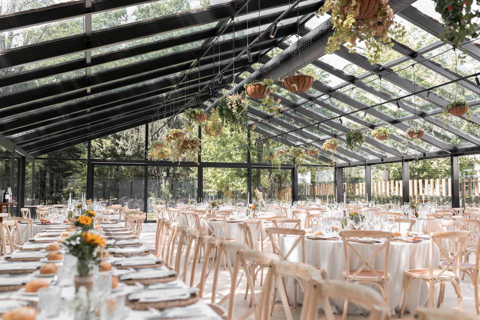 Banquete El Bosque