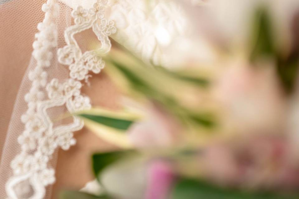 Ana y su Boda