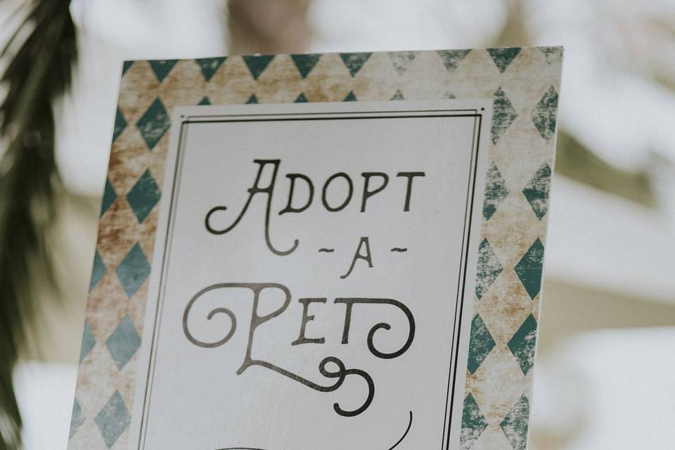 Adopt a pet!