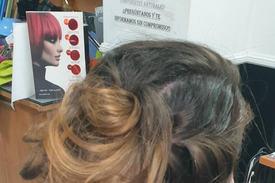 Semirecogido