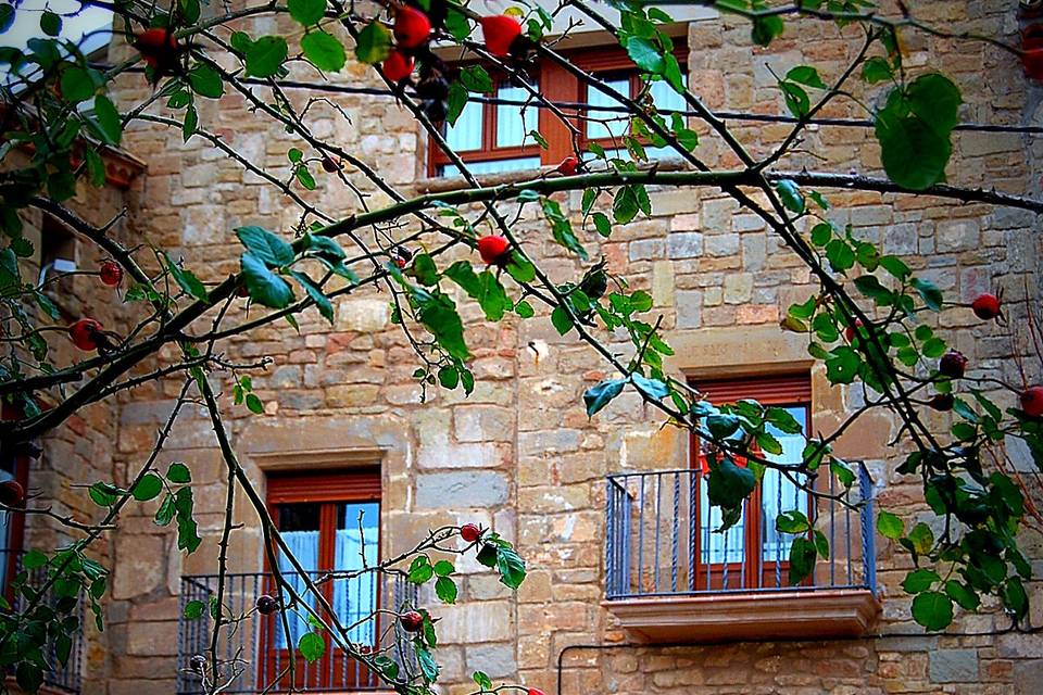 Hostal Palouet de Segarra