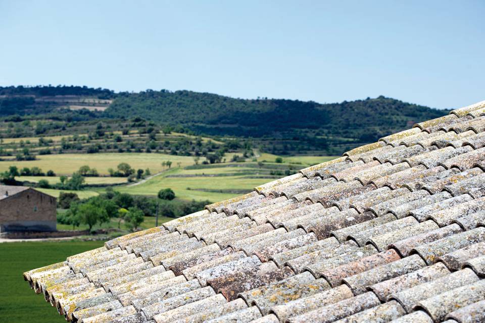 Hostal Palouet de Segarra