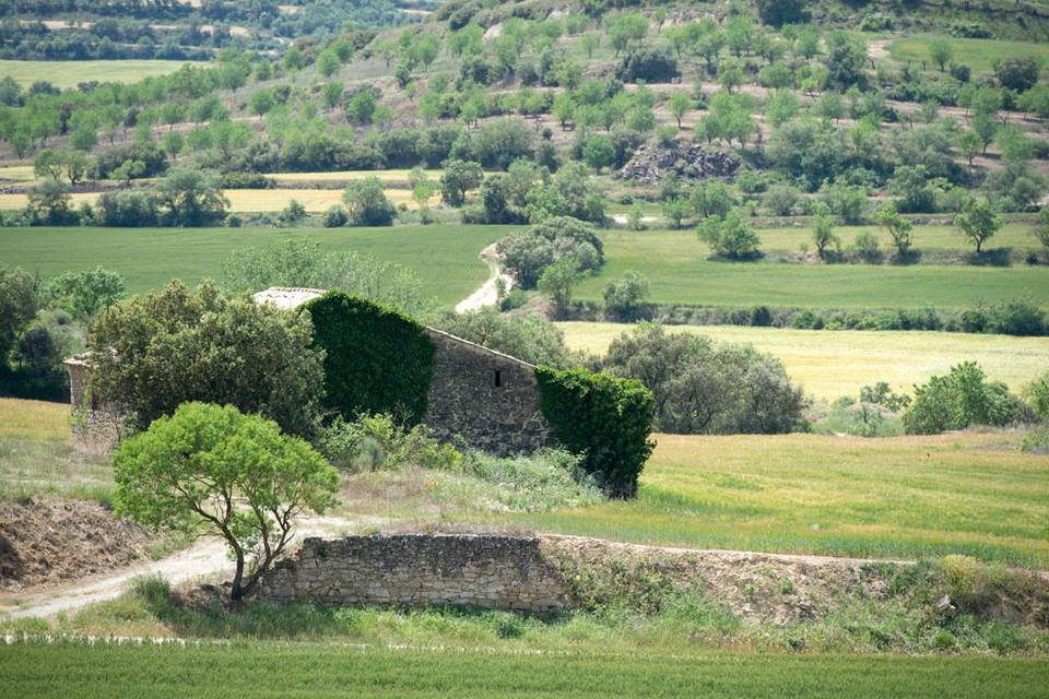 Hostal Palouet de Segarra