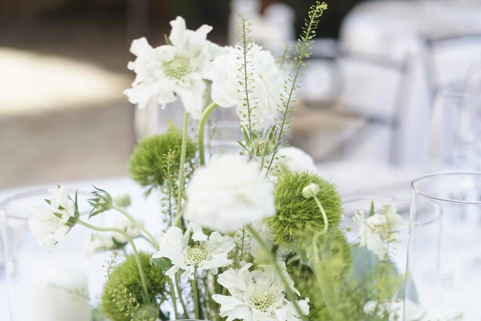 Sabinata eventos