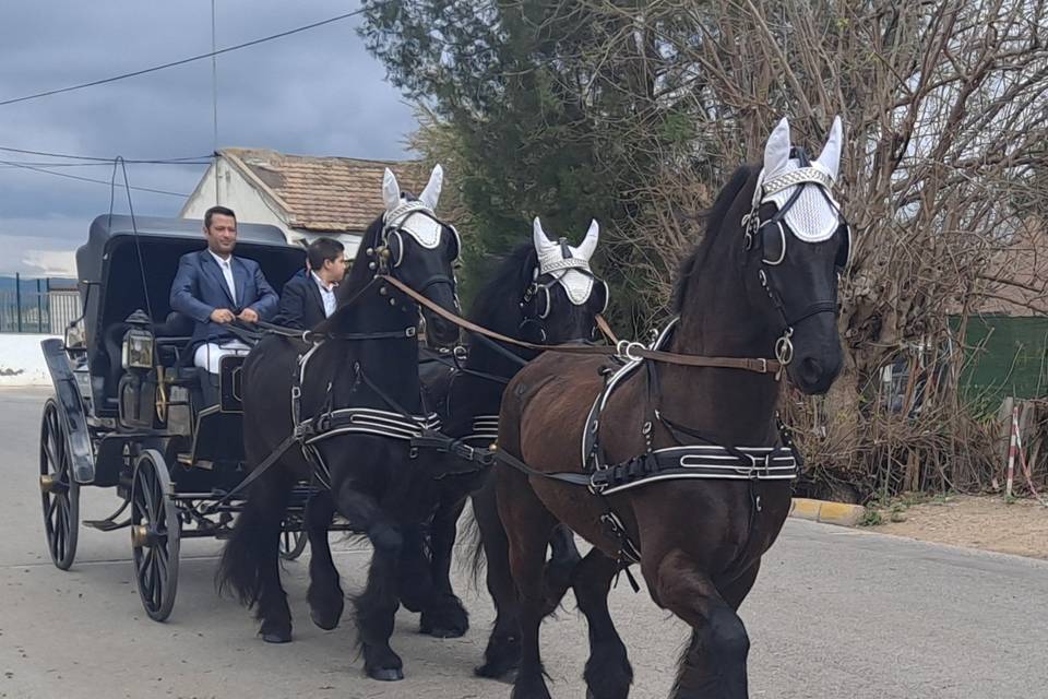 Carruaje con capota y frisones