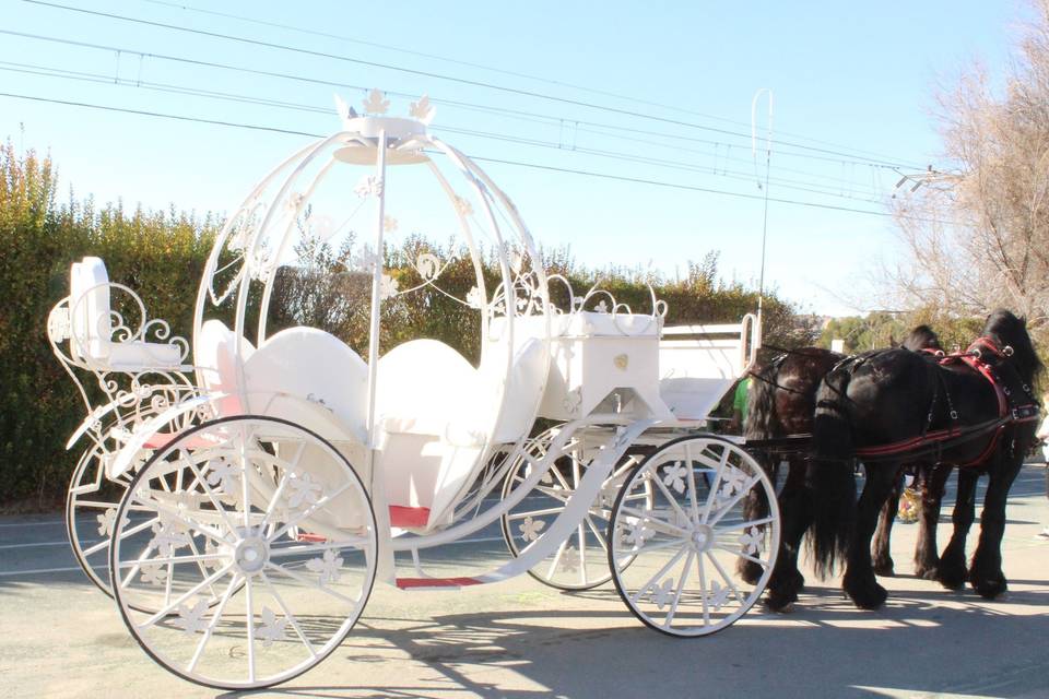 Un transporte único