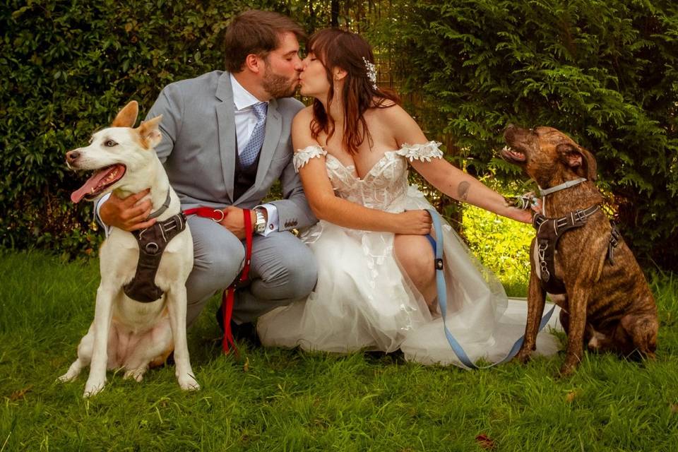 Con nuestros hijos perrunos