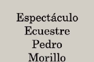 Espectáculo Ecuestre Pedro Morillo