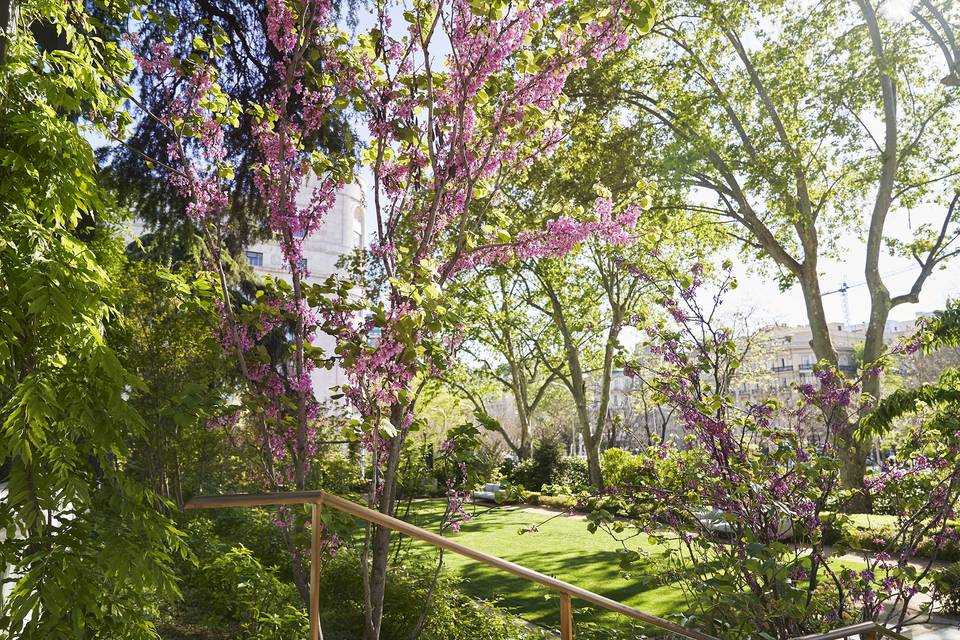 El Jardín - Ceremonia