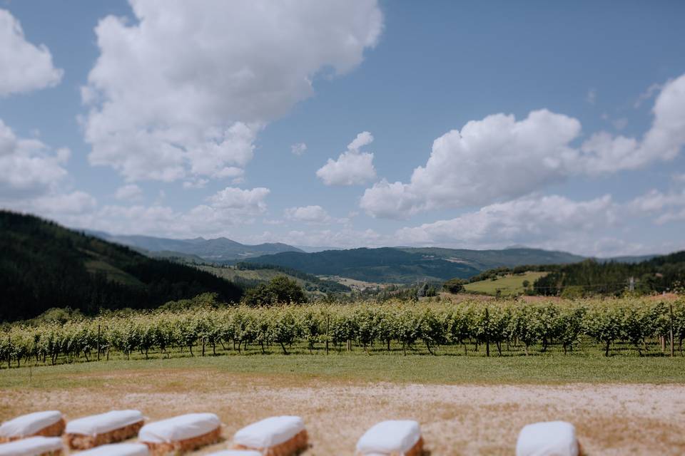 Ceremonia en viñedo