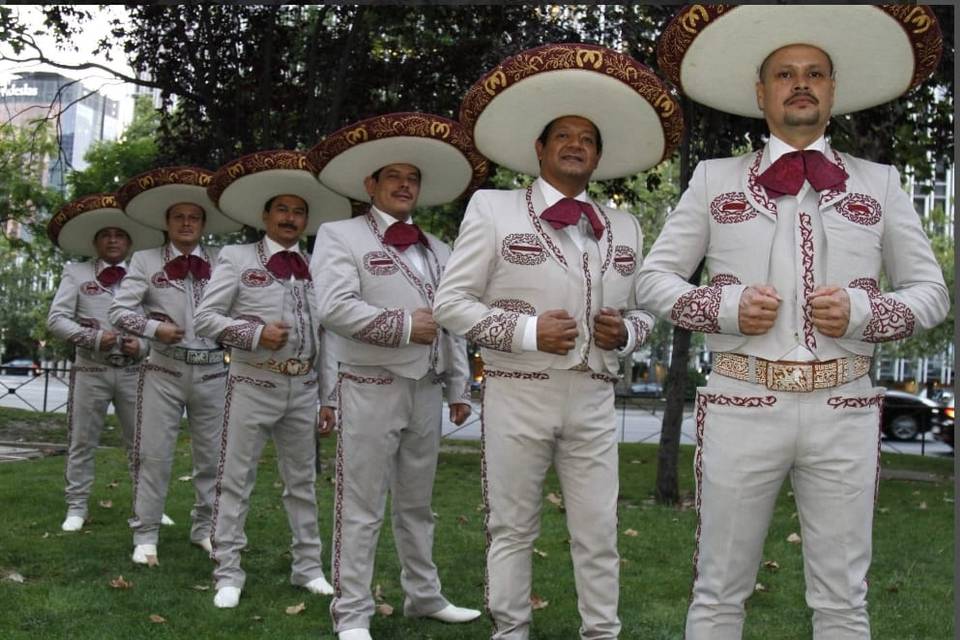 Mariachis