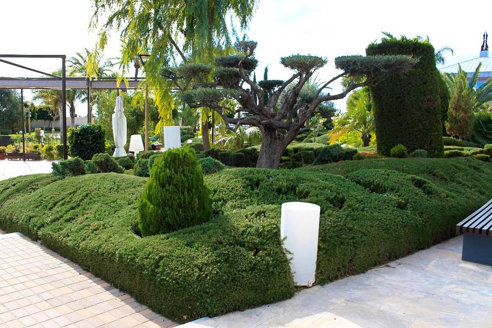 Fuente del jardín