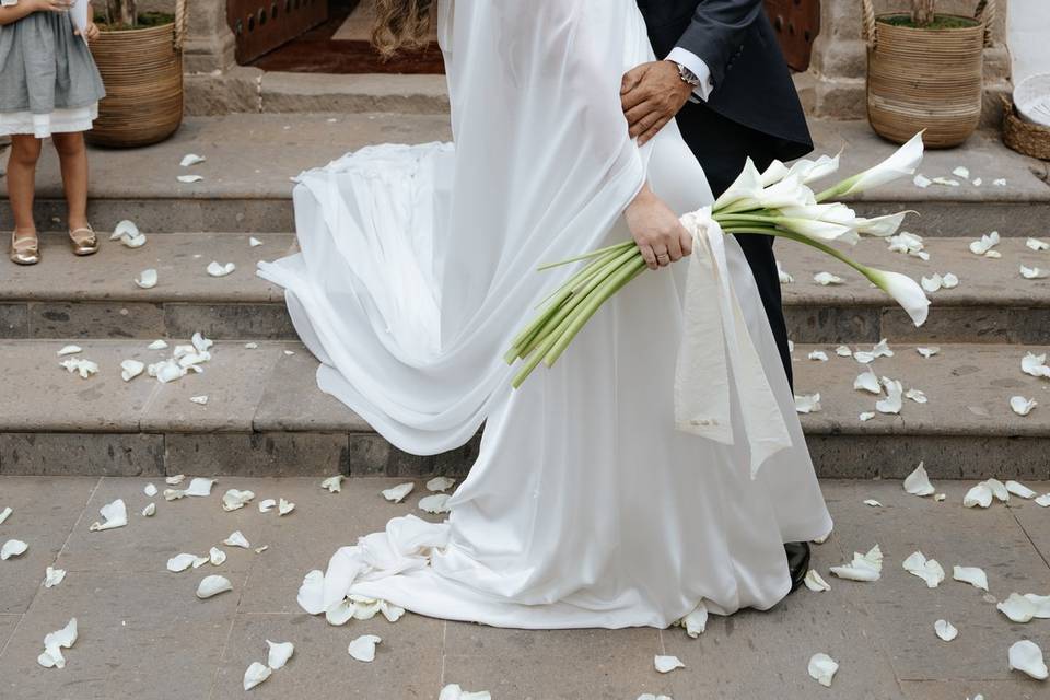 Novios