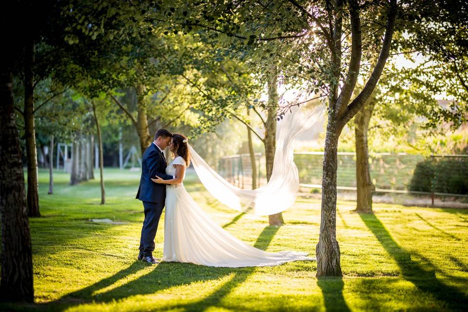 Novios al atardecer